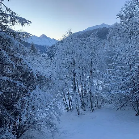 Typique Confort Avec En Dessous Chalet