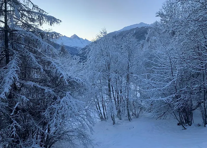 Typique Confort Avec En Dessous Chalet