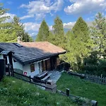 Typique Confort Avec En Dessous Chalet